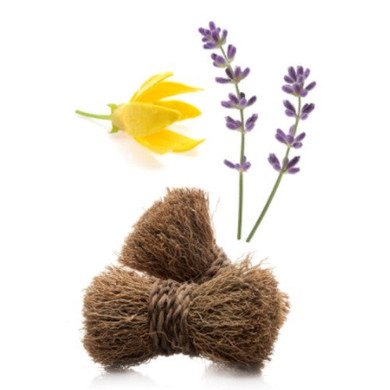 dōTERRA Peace® Reassuring Blend Touch - 10ml Roll On