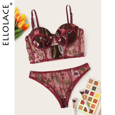 Ellolace Embroidery Bra Set Women's Underwear Set See Through Lingerie Bra and Party Set Lingerie Set Sexy Lace Bra Set