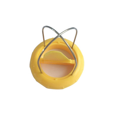 Kiwi Cutter Peeler Slicer Kitchen Gadgets