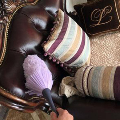 Feather Static Hand Duster, Multi Surface, Replaceable Duster