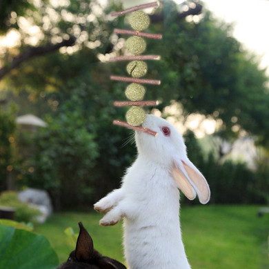 Hanging Grass Balls with Sticks