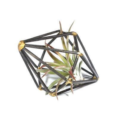 Metal Geometric