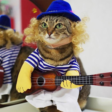 Funny Guitar Player Cosplay Pet Costume