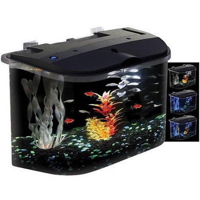Hawkeye 5 Gallon Starter Aquarium Kit with LED Lighting