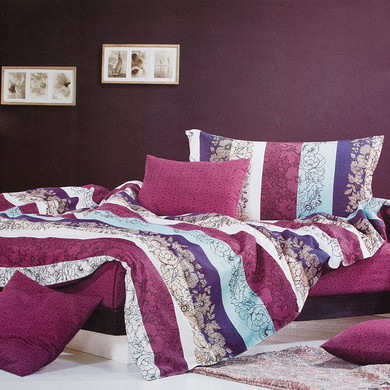 Love in the Rhine 100% Cotton 3PC Comforter Cover/Duvet Cover Combo Twin Size