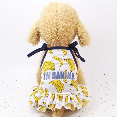 Dog Clothes Beach Couples Summer Dress
