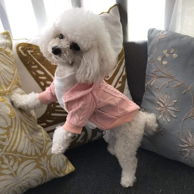 Dogs Winter Warm Sweater