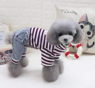 Fashion Puppy Dog Clothes