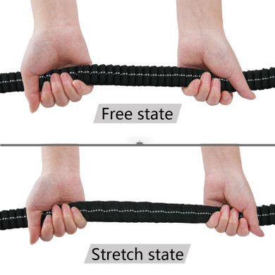 Shock Absorbing Bungee Dog Leash