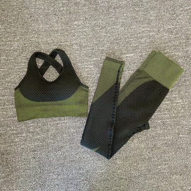 Women yoga set gym clothing Female Sport fitness suit