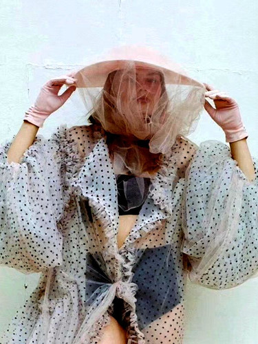 Polka Dot Transparent Mesh Lantern Sleeve Blouse
