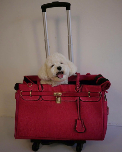 Madison Pet Carrier