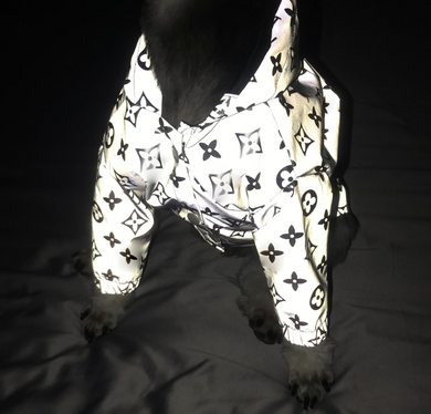 LV Inspired Monogram Reflective Raincoat