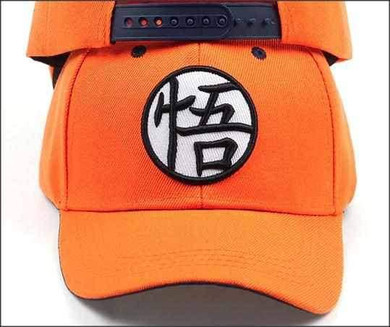 Dragon Warrior Training Snapback Hat/Cap