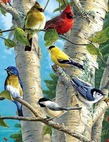 "Rare Birds on a Seaside Tree" | DIY Diamond Painting By Numbers