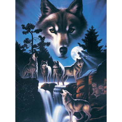 Howl