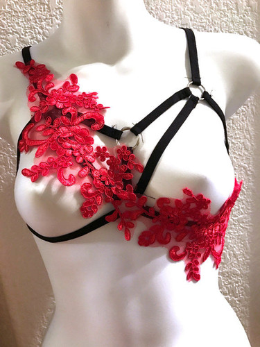 Ruby Red and Black Lace Cage Harness Top