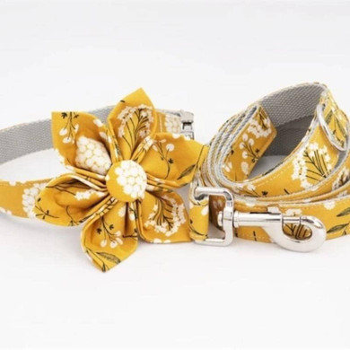 Flower Power Sunshine Collar & Leash Set