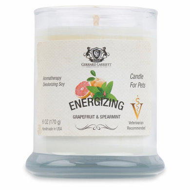 Energizing Grapefruit & Spearmint Aromatherapy Deodorizing Soy Candle