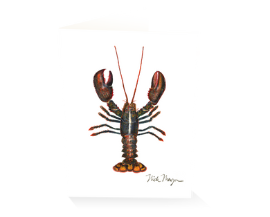 Northern Lobster