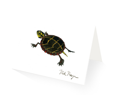 Painted Turtle