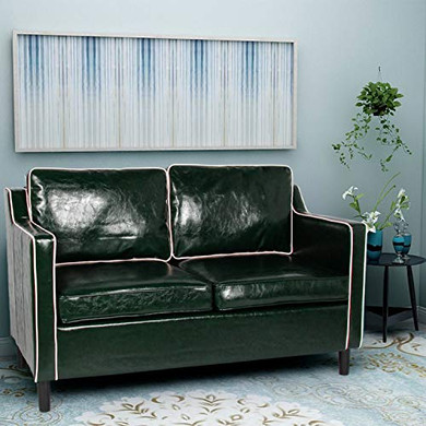 Modern 50" Small Sofa Couch Faux Leather Comfy Loveseat Sofa Mini Couch Living Room Bedroom, Office Couch Love Seat Small Space 2-Seat for 2 People (Green&White) Modern 50" Small Sofa Couch Faux Leather Comfy Loveseat Sofa Mini Couch Living Room Bedroom, Office Couch Love Seat Small Space 2-Seat for 2 People (Green&White)