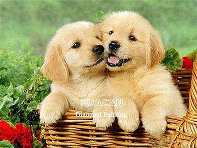 Huacan Diamond Painting Full Square Dog 5D DIY Diamond Embroidery Mosaic Animal Art Decorations Home