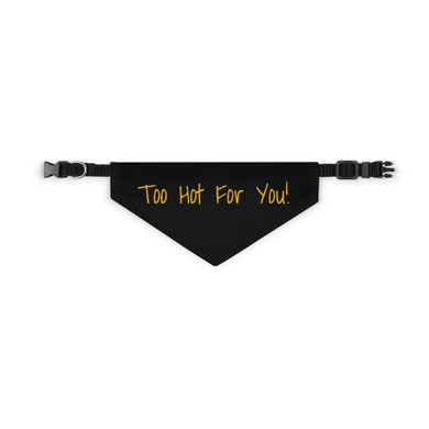 Too Hot Pet Bandana Collar