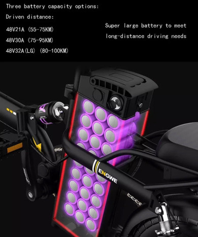 Smart Folding Electric Bike