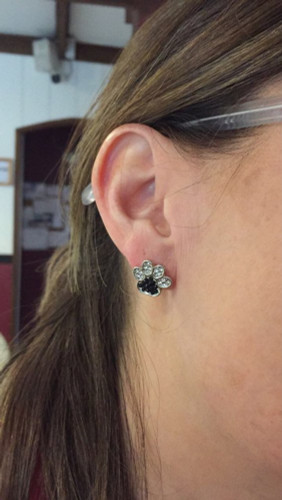 FLFD - Earrings Silver Jewelry Crystal Dog Paw FLFD - Earrings Silver Jewelry Crystal Dog Paw