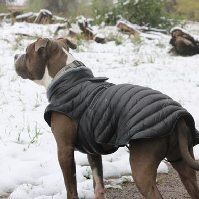 Alpine Extreme Puffer Coat