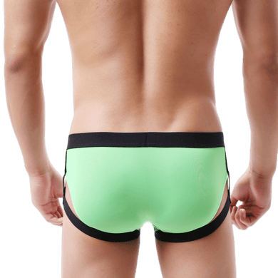 Flex Garter Briefs
