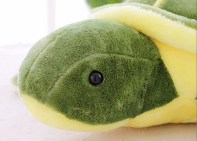 Turtle Plush