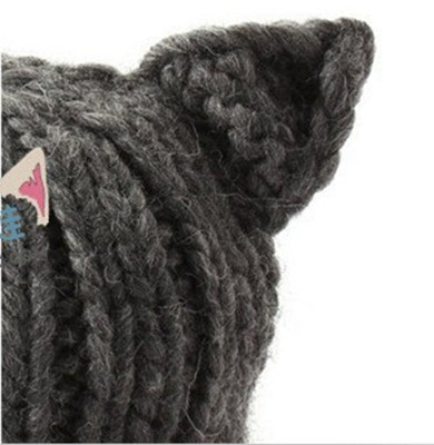 Cat in the Knit Hat with Ears
