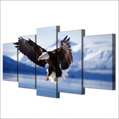 Soaring Eagle
