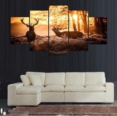 Elk Sunset