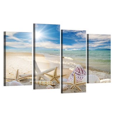 Beach Sea Shell Beach Sea Shell