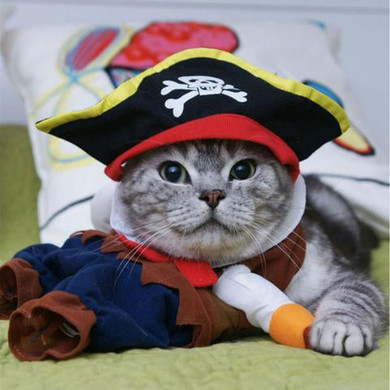 Funny Cat Costumes Pirate Cosplay Pet Apparel Halloween Clothes