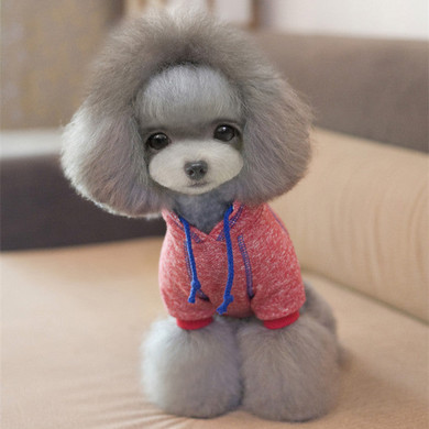 2016 Autumn Dog Clothes Cotton Dog Hoodies Pet Dog Coat Sweatshirts for Small Dogs Puppy Sportwear Yorkshire Chihuahua Clothes