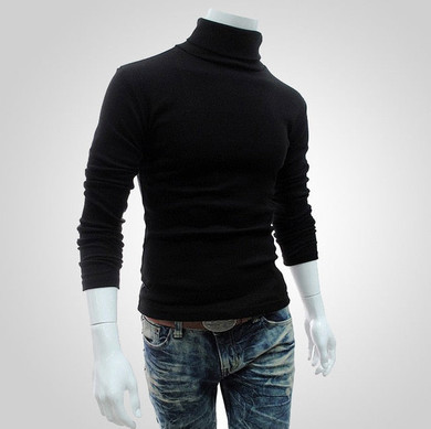 Puimentiua 2019 Autumn Winter Men's Sweater Males Turtleneck Solid Color Casual Sweater Homme Slim Fit Knitted Cotton Pullovers