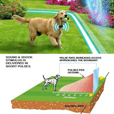 Extra Wireless Shock e Collar for Hidden Invisible Dog Fence Containment System