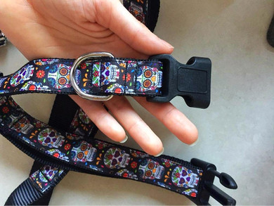 Sugar Skull Dog Collar Sugar Skull Dog Collar