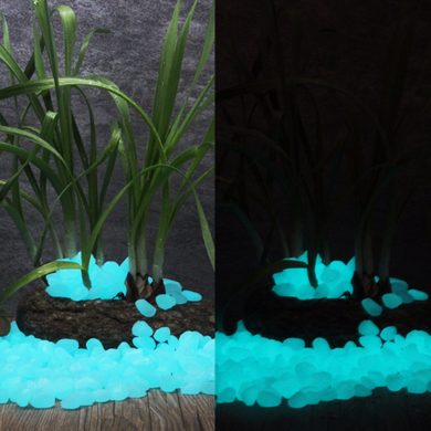 Glow-In-The-Dark Luminous Garden Pebbles - 100pcs