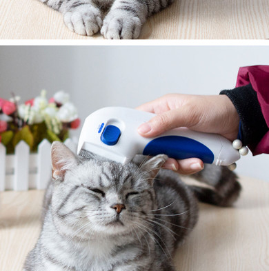 Electric Flea Removal Groomer