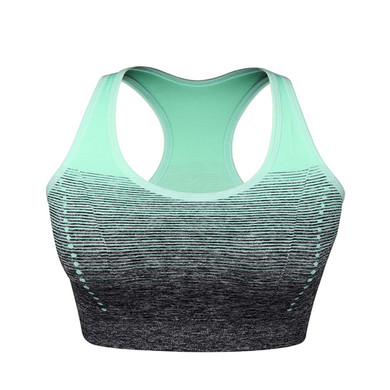 Quick Dry Padded HBack Sports Top High Stretch Sports Bra for Women
