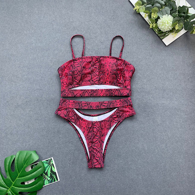 Women Two Piece Swimsuit Leopard Rainbow Cheeky Cutout Bikini Set