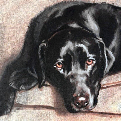 Diamond Painting Dog  Animals  Kit