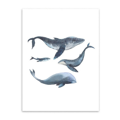 Watercolor Whales Decorative Pictures Wall Pictures for Home Decoration Poster Print Canvas Picture Wall Pictures Poster S16014