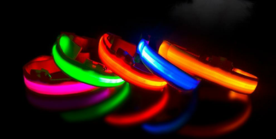 Collar LED USB Rechargeable for Dogs