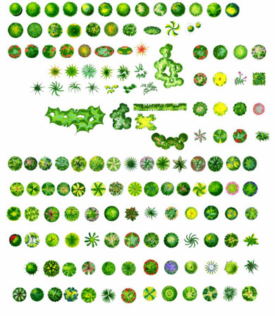 ★Photoshop PSD Blocks-Landscape Design PSD Blocks-2D Tree PSD Blocks